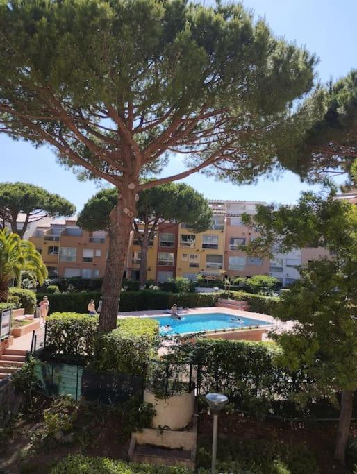 Studio 4 Couchages Avec Piscine D'Ete Vue Port Agde Exterior photo